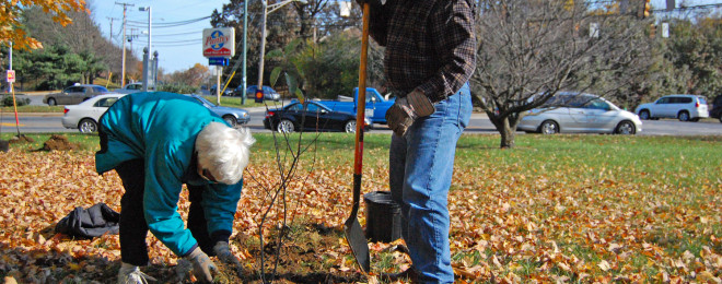Seniors Aging in Place