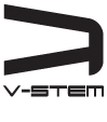 V-Stem